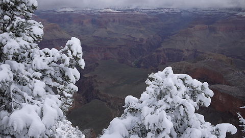 PINK SNAKES! Weird things about the Grand Canyon - ABC15 Digital