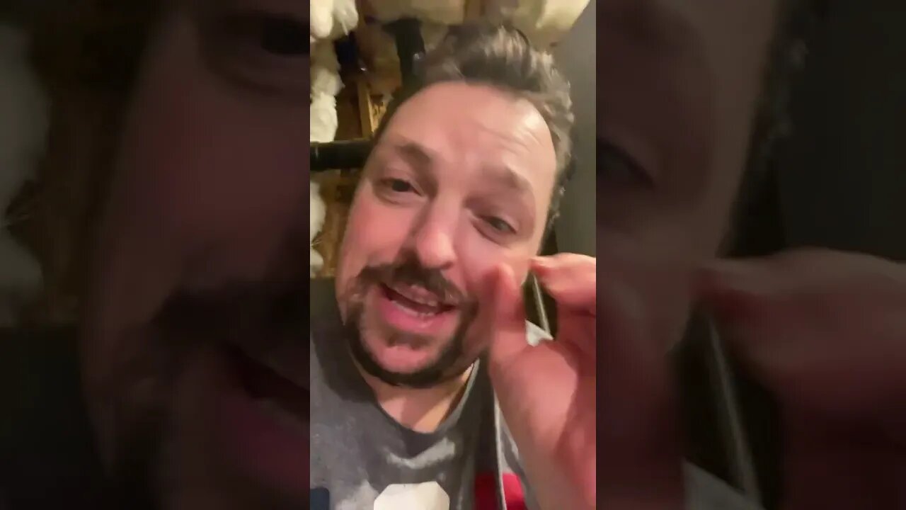 There’s A Lemon In The Orange? 😲