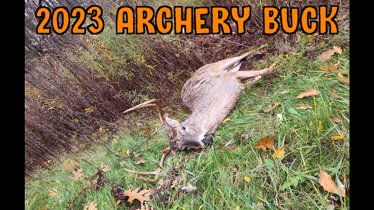 2023 Archery Buck