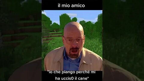 Solo a me succede?#minecraft #minecraftita #minecraftitalia #minecraftmemes #minecraftmeme