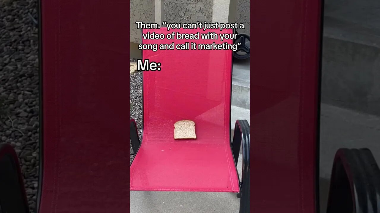 I do what i want! #bread #steinengine #newmusic #musicmarketing #meme #comedy #fyp #viral