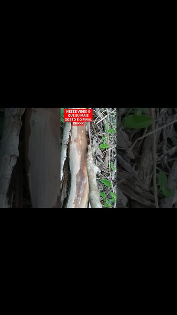 Quando você mexe com o que tá queto!