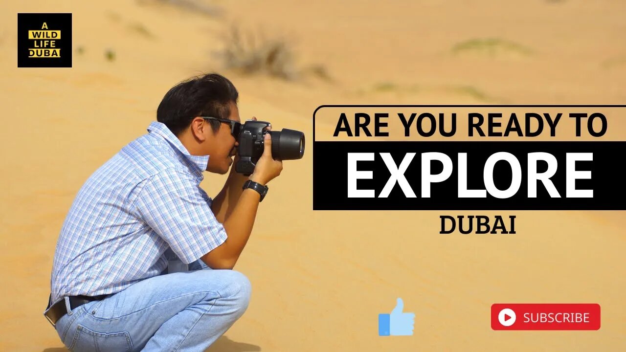 Welcome to my channel | EXPLORE DUBAI | Join us explore the wild side of Dubai. | A WILD LIFE DUBAI