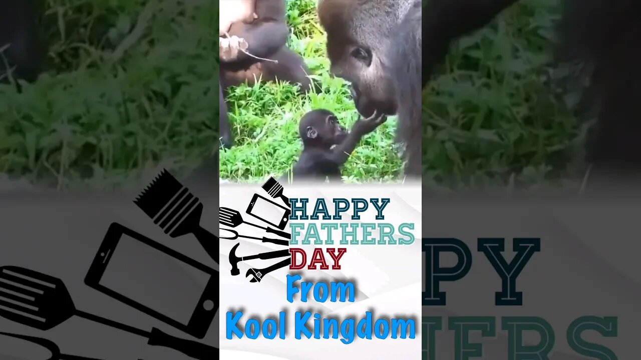 Happy Father's Day 2023 | Baby Gorilla and Daddy #shorts #fathersday