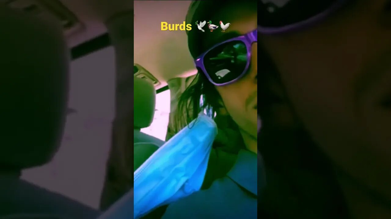 Ok I pull up 🦆