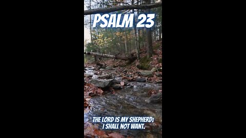Psalm 23 | The Lord is my shepherd; I shall not want | Male Narrator