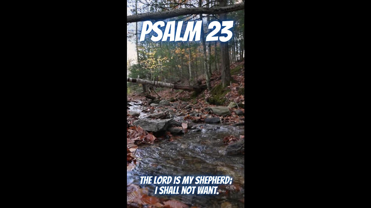 Psalm 23 | The Lord is my shepherd; I shall not want | Male Narrator