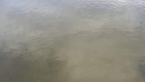 Feeding my pets again 😊😊😊😊