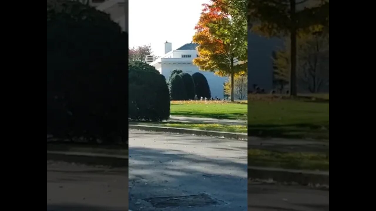 11/10/21 Nancy Drew in DC- Back After Several Sick Days! Newsome Gone?