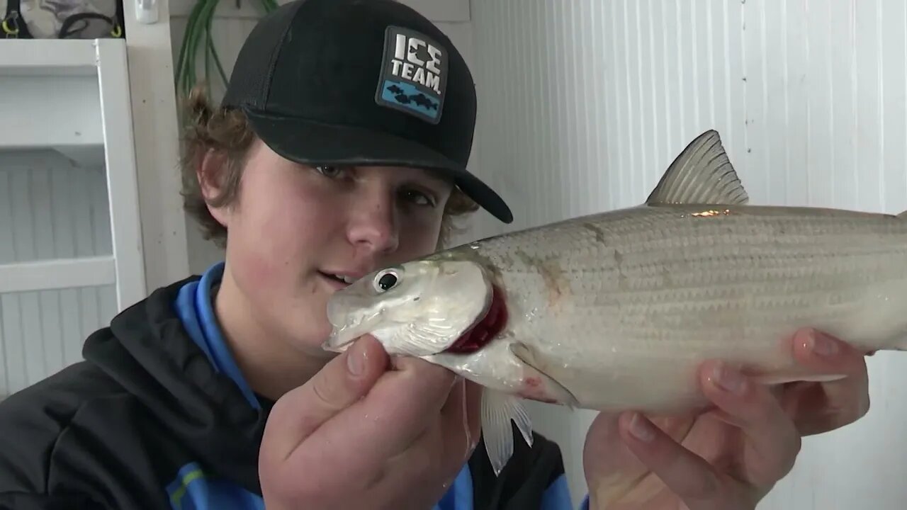 Mixed Bag in the Sleeper House