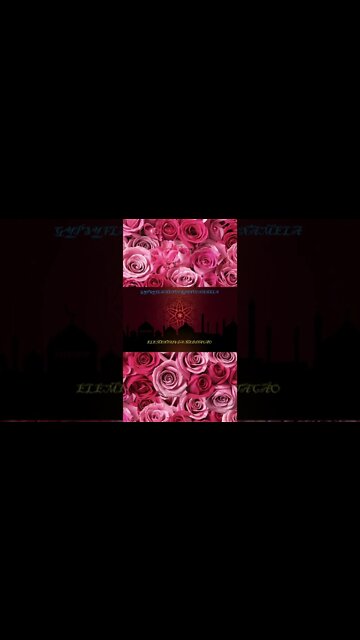 MUSICA CIGANA GYPSY FLAMENCO RINNCONAMELA #short #shorts #subscribe #viral #video