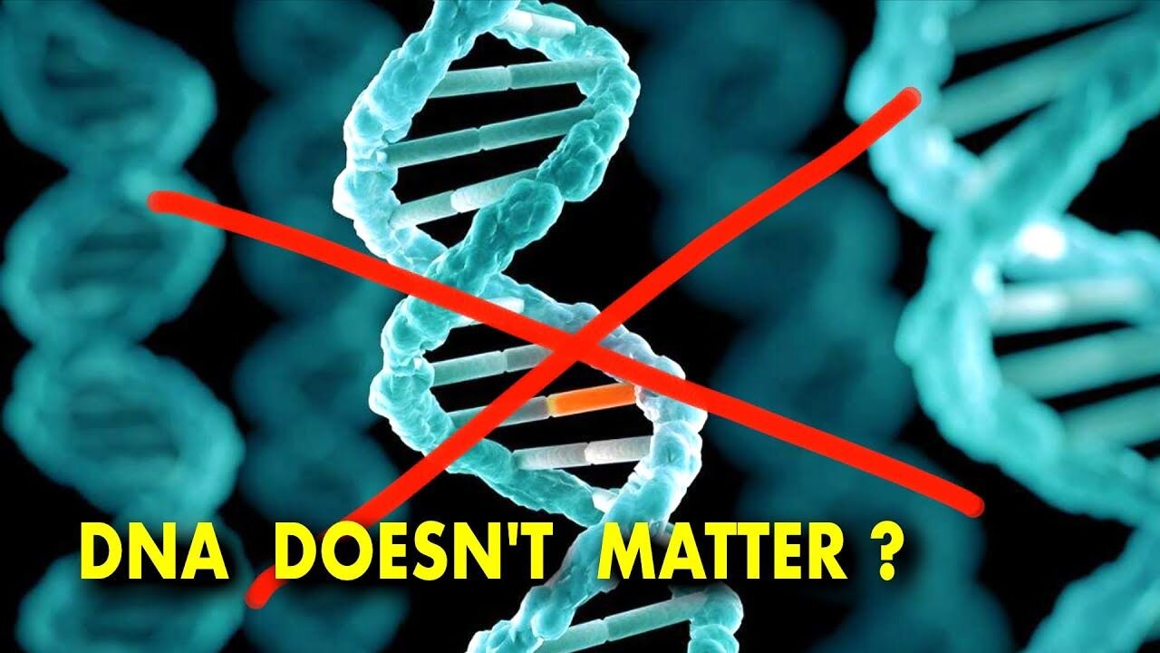 Something Encodes Our Genetics Besides DNA