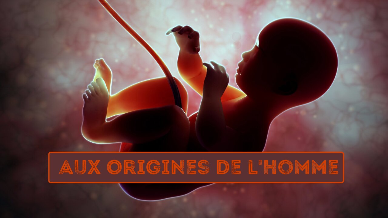 Alien Theory / Aux Origines de l'Homme