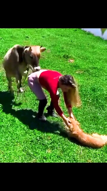 What the actual heck was that 😬