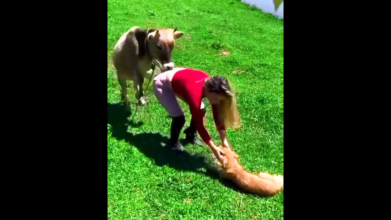 What the actual heck was that 😬