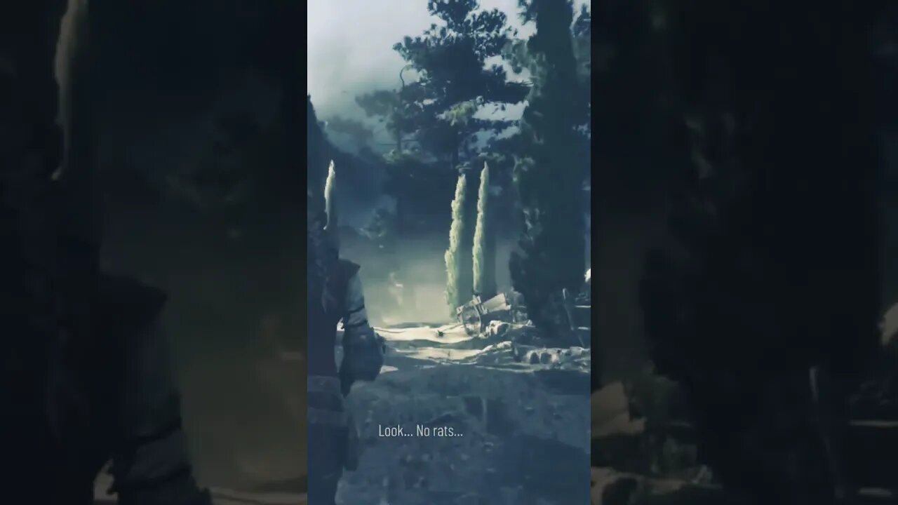 A PLAGUE TALE REQUIEM | Gameplay Playthrough | FHD 60FPS PS5 | No Commentary | SHORTS
