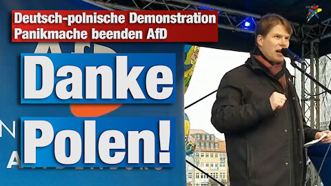 Deutsch-polnische Demonstration Panikmache beenden AfD