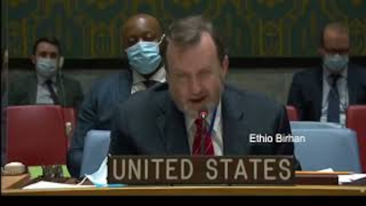 USA accused TPLF for killing Aid worker, looting Aid food and taking to Mekelle at UNSC meeting.