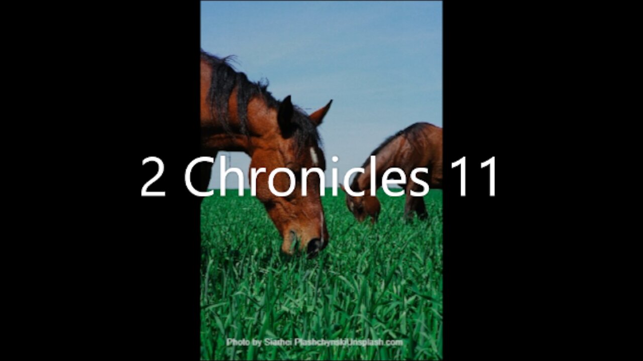 2 Chronicles 11 | KJV | Click Links In Video Details To Proceed to The Next Chapter/Book