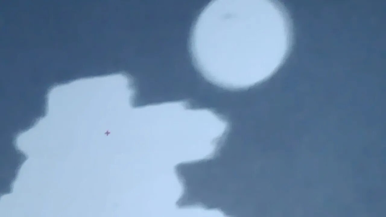 Focusing On Different Objects/Orb Flies by