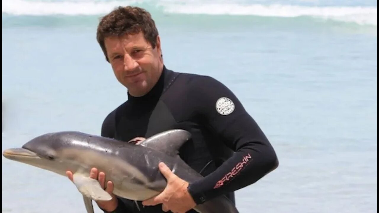 Man Saves Dolphin and Pod Thanks Him