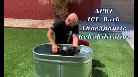 APBT ALPHA Performance *•Ice Bath•* Therapeutic Rehabilitation