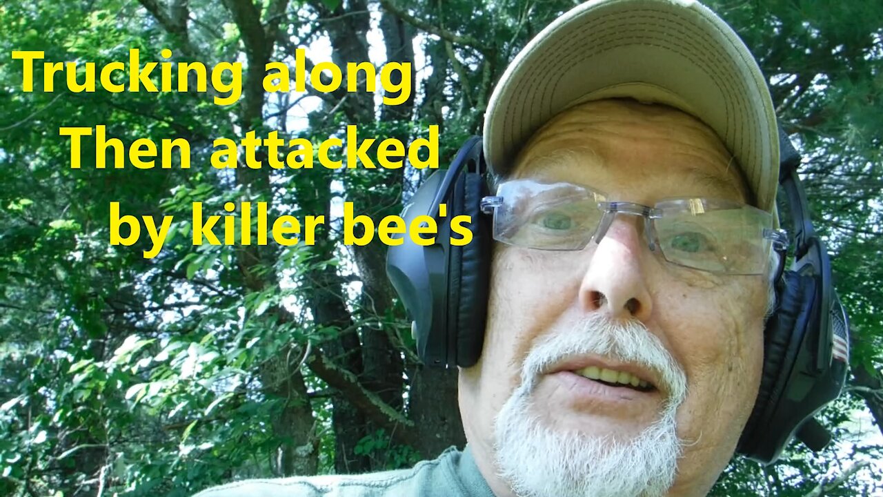 Trucking along, Bee attack!