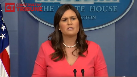 Watch: Reporter Learns It’s A Mistake To Ask Sarah About Children At Border