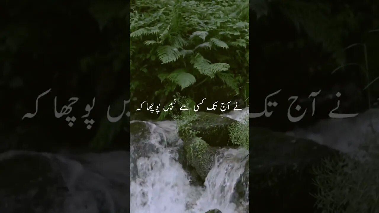 Samandar Kitna Door Hai #ytshorts #quotes #islamicquotes #viral #viralvideo #viralshorts
