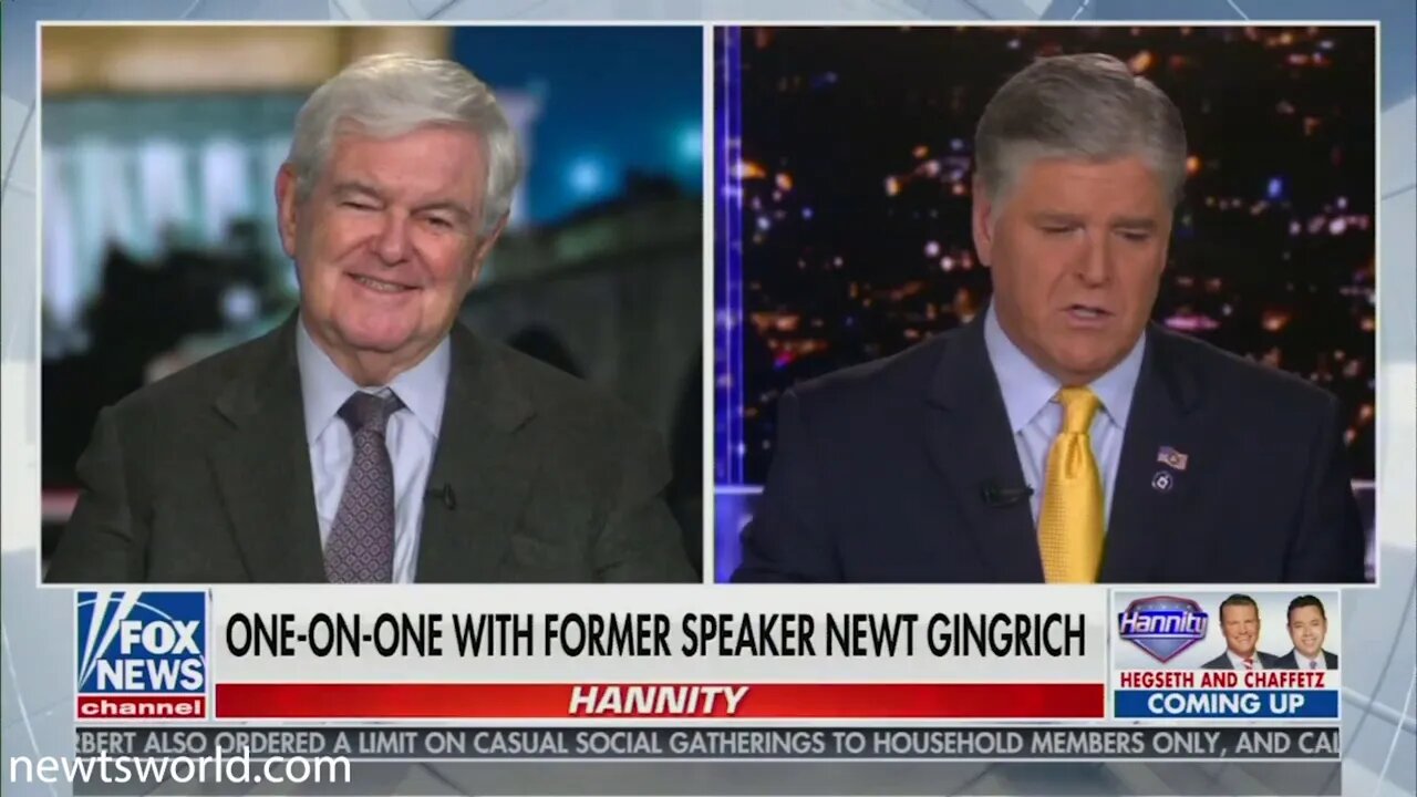 Newt Gingrich on Hannity | Nov. 9 2020