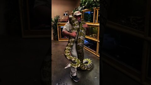 FUNNY AND CUTE ANIMALS 🐍⚕️🐍