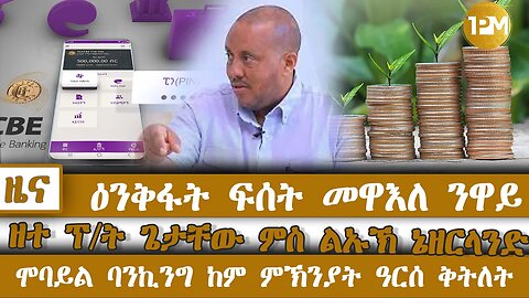 ዕንቅፋታት ፍሰት መዋእለ ንዋይ፣ ዘተ ፕ/ት ጌታቸው ምስ ልኡኽ ኔዘርላንድ፣ ባንኪንግ ከም ምኽንያት ዓርሰ-ቅትለት