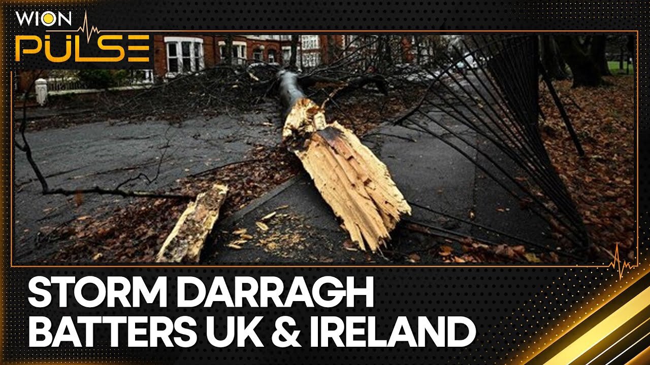 One Dead As Storm Darragh Batters UK & Ireland | World News | WION Pulse