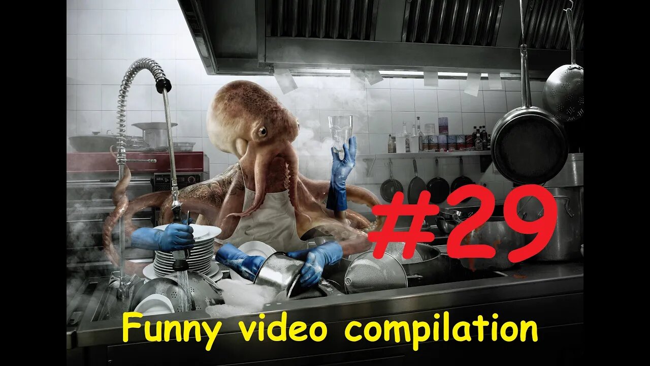 Funny video compilation #29