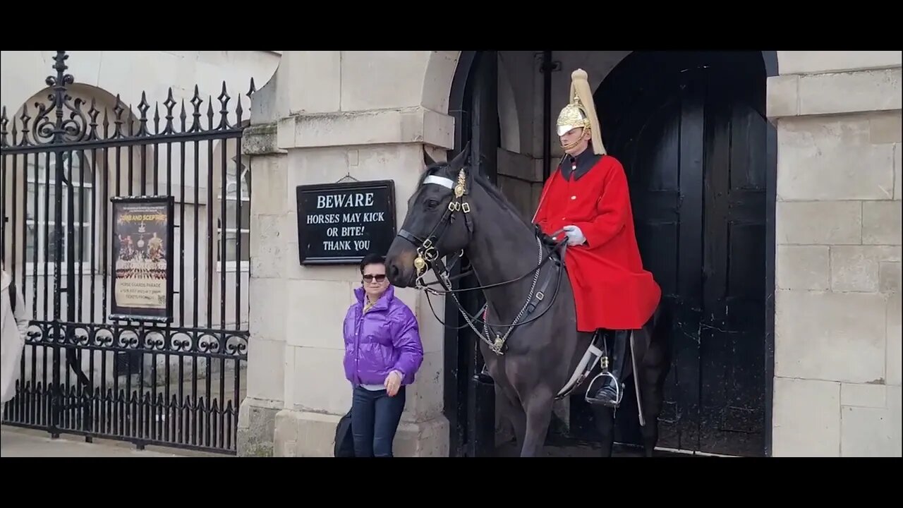 Dint hold the Reins #horseguardsparade
