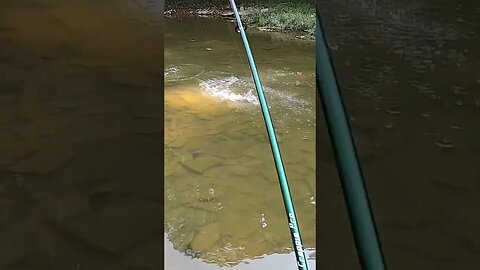 I am the BEST fisherman you've ever witnessed!!!