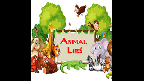 Wiled Animal Hunting | Animal Life |hunting Animal