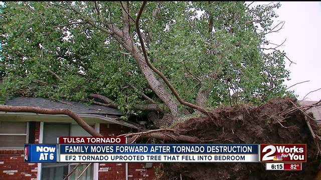 Tornado uproots tree, sends it slamming into home