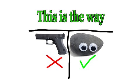 Self-defense Pet Rock
