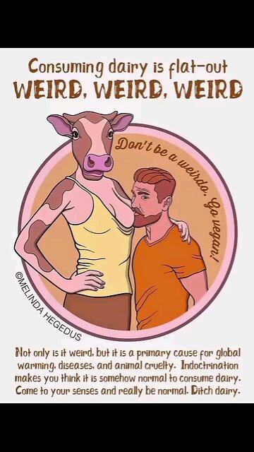 The Vegans Are Coming ! 🥦'oclock Rock 🥁🥁🥁🎸🔥