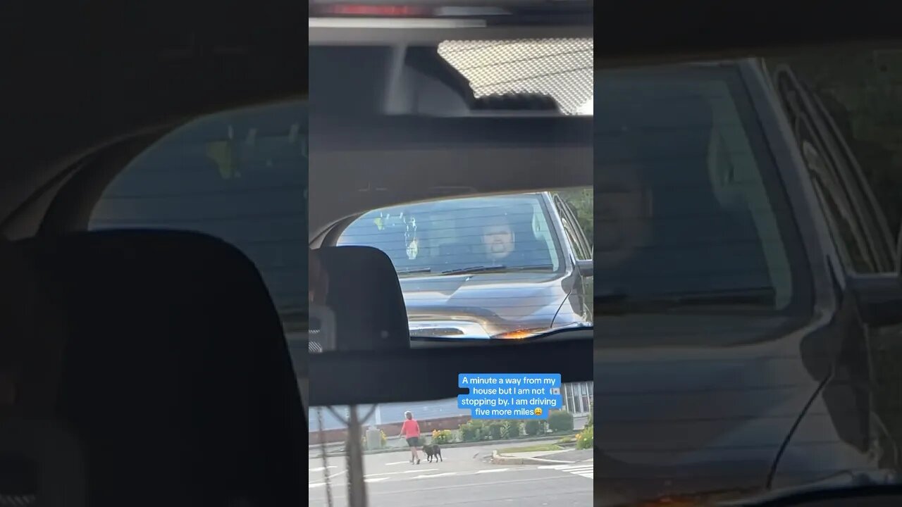 Strange Freak Follows me Home!