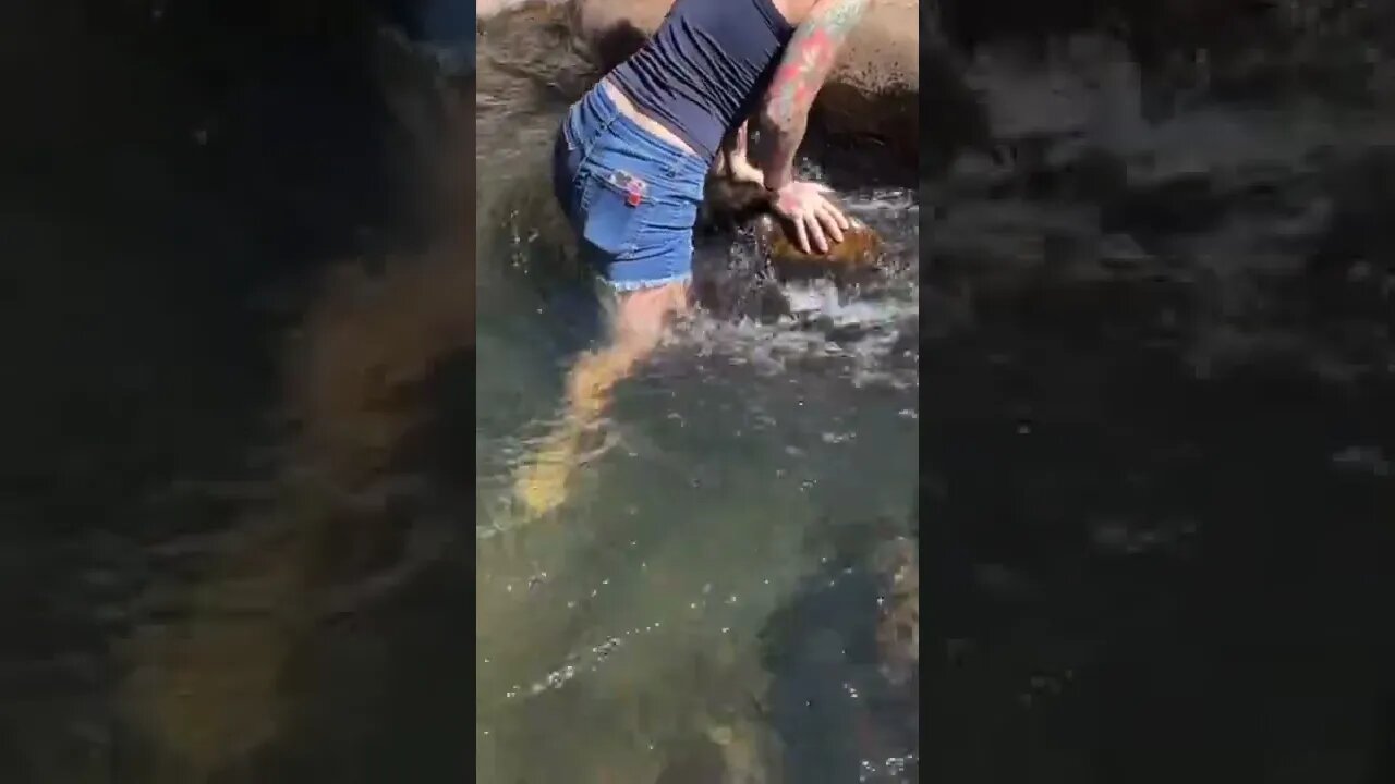 Tallulah Gorge adventure, video up tomorrow!