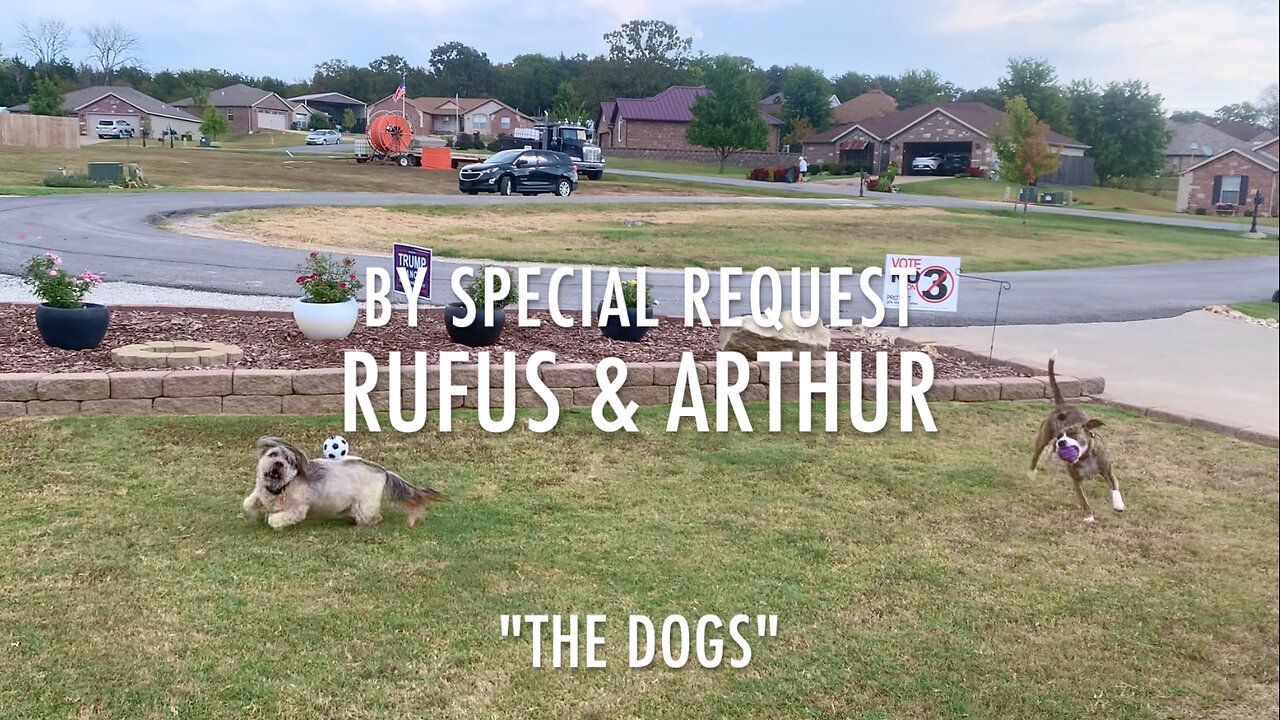 BY SPECIAL REQUEST - RUFUS & ARTHUR - "THE DOGS"