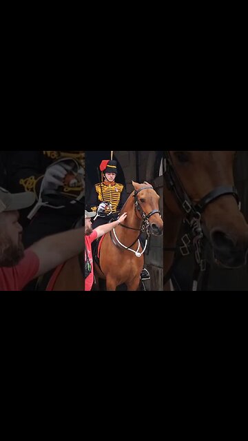 Horse is like don't touch me #horseguardsparade