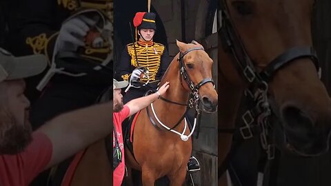 Horse is like don't touch me #horseguardsparade