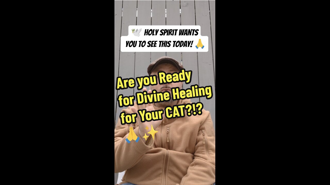 Are you Ready for Divine Healing for Your CAT?!?