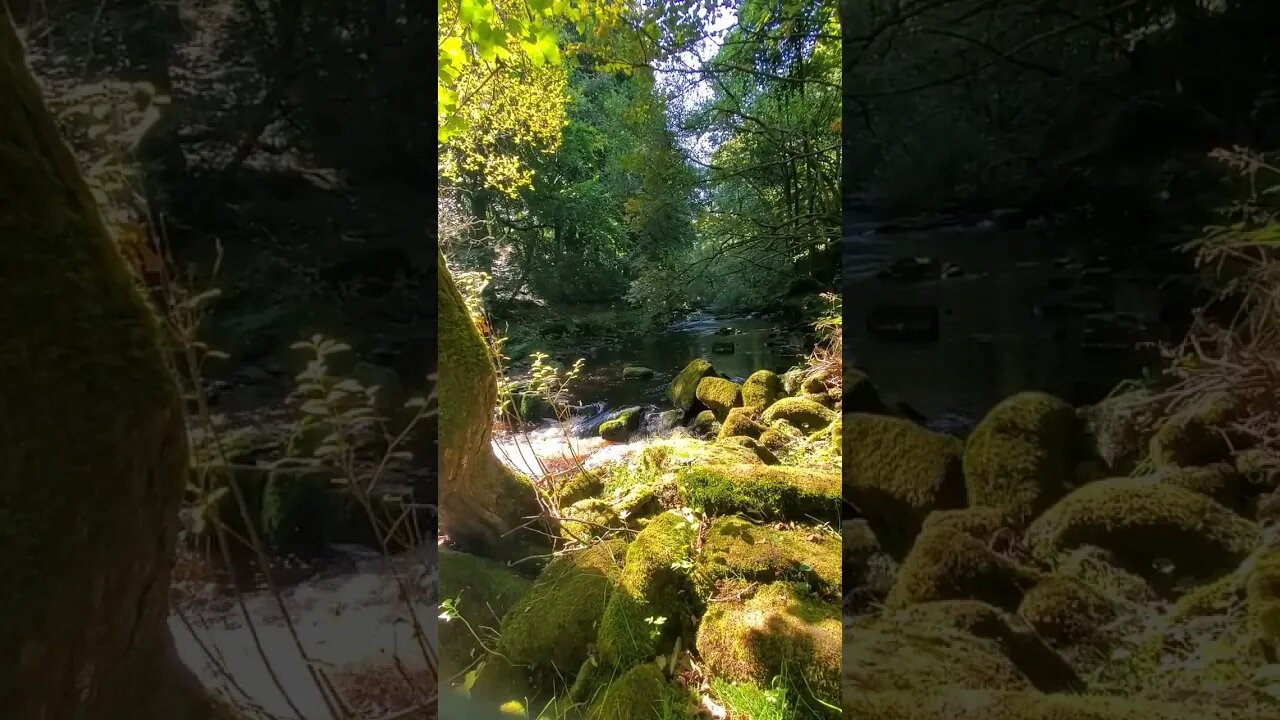 Nature #nature #yorkshire #water