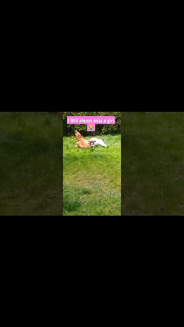 😭I'll be missing you😭.I will always luv u #short #fyp . If u ever lost a friend like n share. 💕