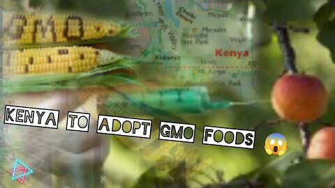 KENYA ADOPTING GMO FOODS