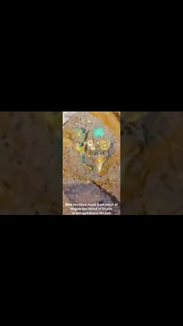 Gold necklace made from tooth of Megalodon found in Titanic wreckage #shorts #titanic #megalodon